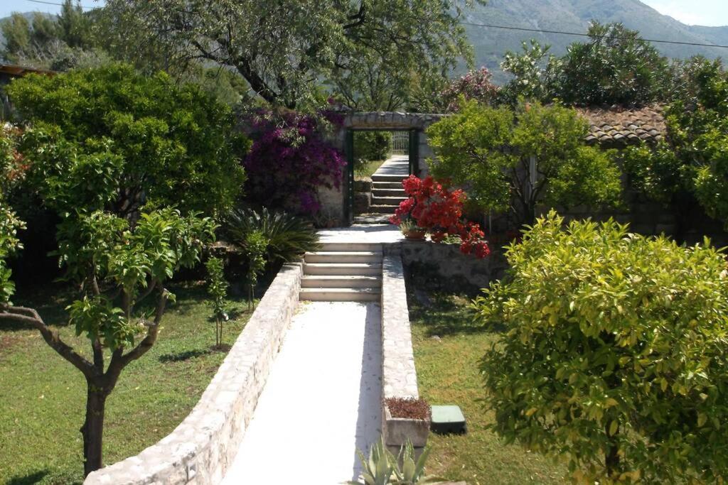 Charming Apartment For 3 Pax In Cavtat Exterior foto