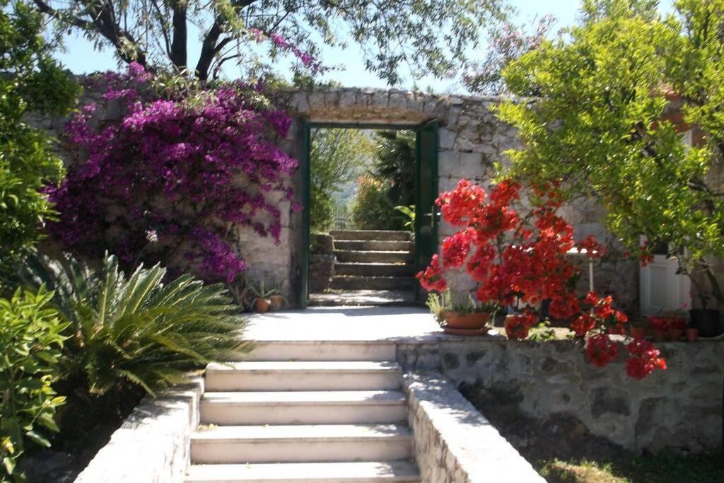 Charming Apartment For 3 Pax In Cavtat Exterior foto